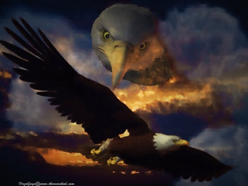 Bald Eagle in Flight — Blue, Dramatic, Sunset, Digital Art, Sky, Clouds
