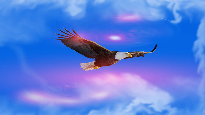 Bald Eagle in Flight — Blue, Dramatic, Sunset, Digital Art, Sky