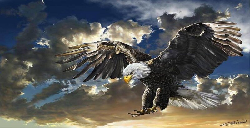 Bald Eagle in Flight — Blue, Dramatic, Sunset, Digital Art