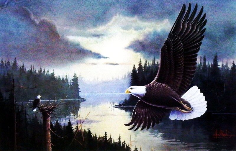 Bald Eagle in Flight — Blue, Dramatic, Sunset, Painting, Lake