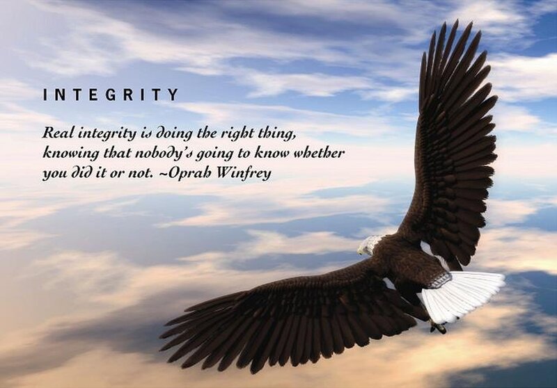 Bald Eagle in Flight — Blue, Inspirational, Afternoon