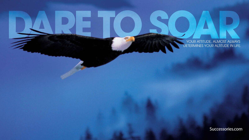 Bald Eagle in Flight — Blue, Inspirational, Morning