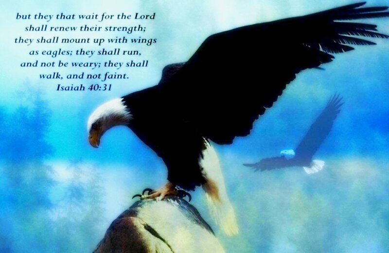 Bald Eagle in Flight — Blue, Inspirational