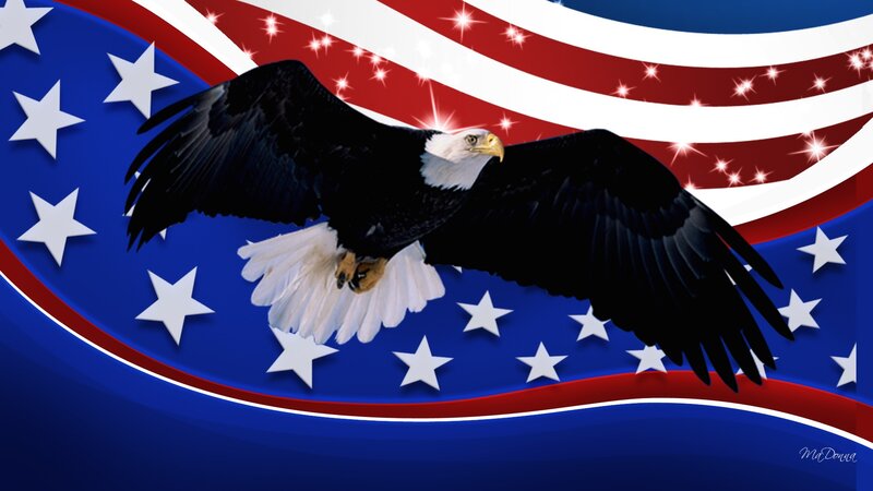 Bald Eagle in Flight — Blue, Patriotic, Digital Art