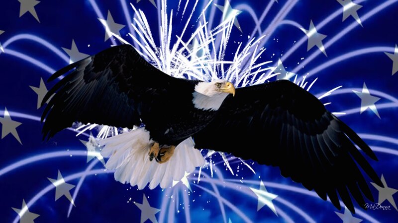 Bald Eagle in Flight — Blue, Patriotic, Night