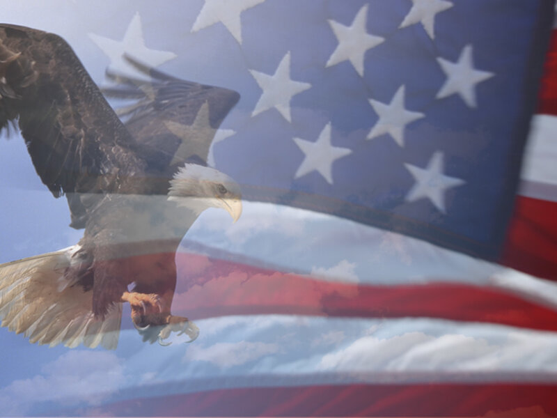 Bald Eagle in Flight — Blue, Patriotic, Photograph