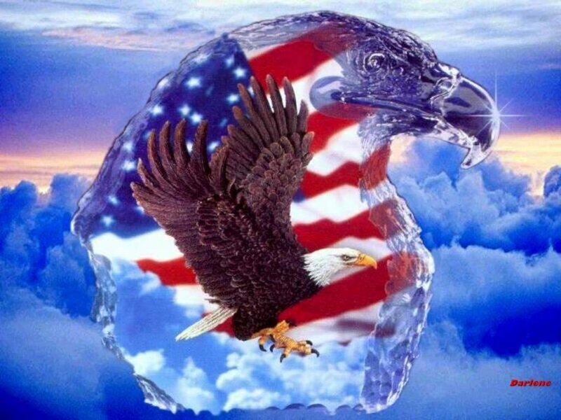 Bald Eagle in Flight — Blue, Patriotic, Sunrise