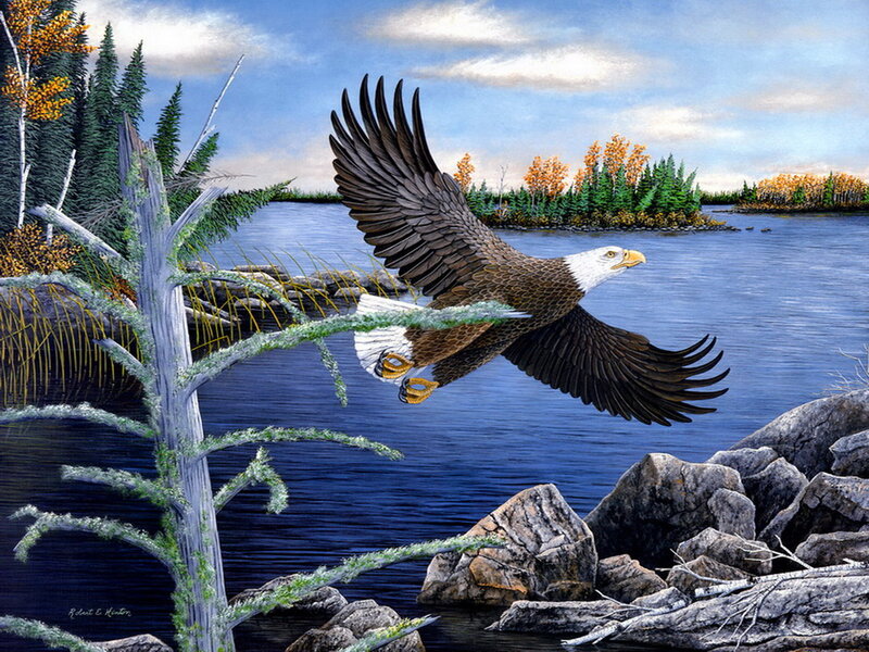 Bald Eagle in Flight — Blue, Serene, Autumn, Painting