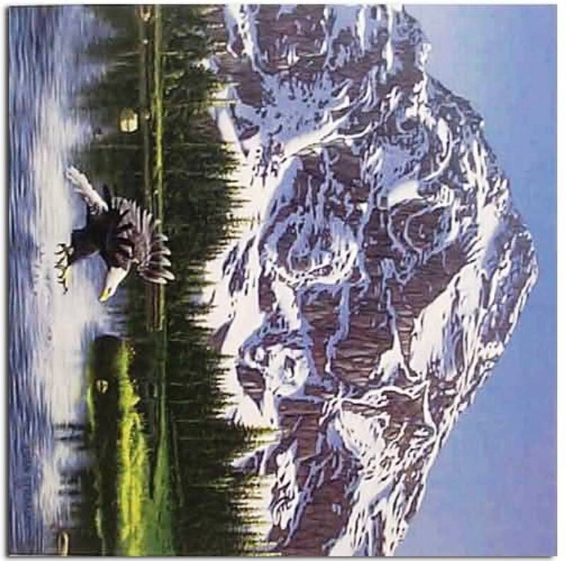 Bald Eagle in Flight — Blue, Serene, Morning, Illustration