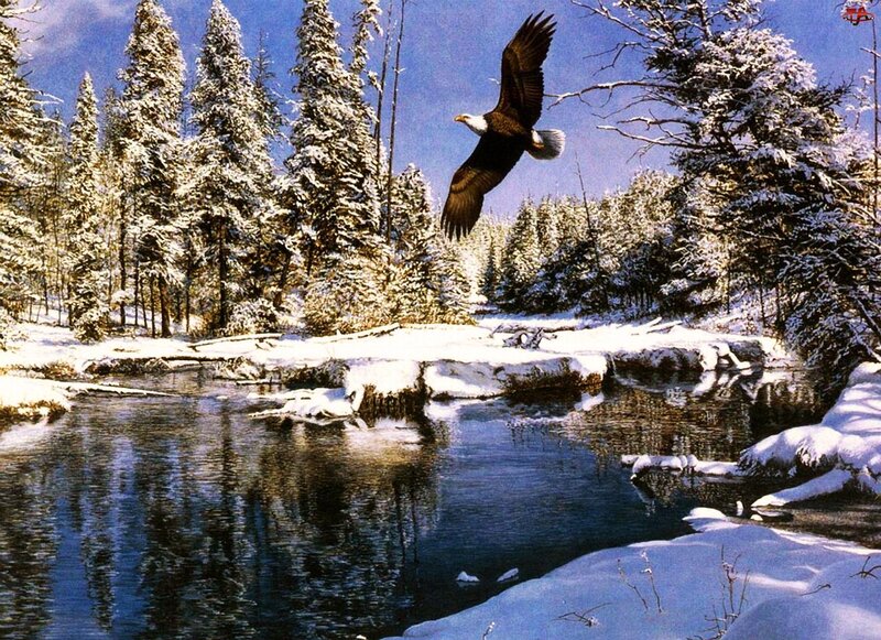 Bald Eagle in Flight — Blue, Serene, Winter, Painting, River