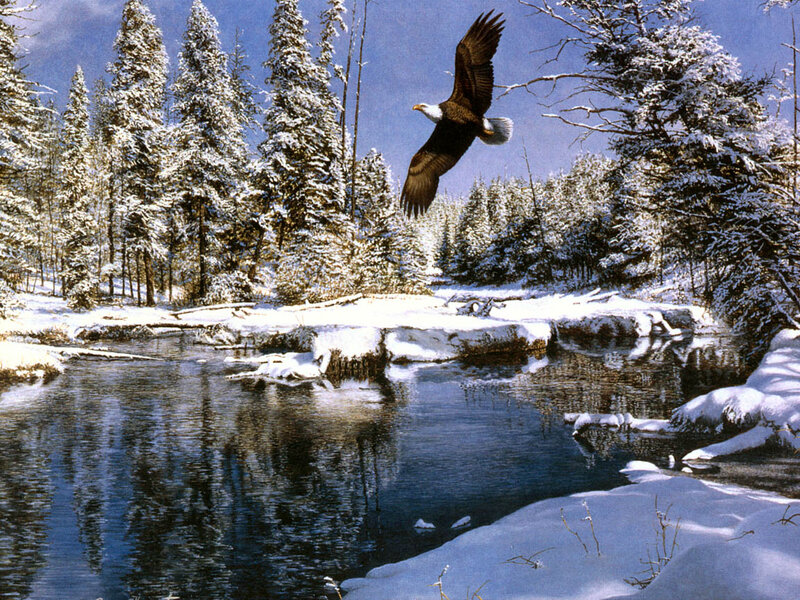 Bald Eagle in Flight — Blue, Serene, Winter, Painting