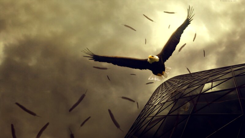 Bald Eagle in Flight — Brown, Dramatic, Afternoon, Digital Art