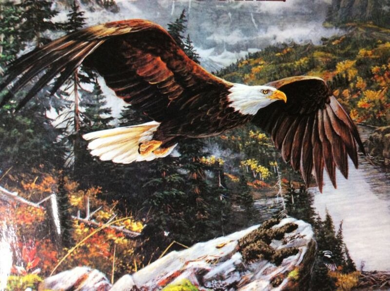 Bald Eagle in Flight — Brown, Dramatic, Autumn, Painting