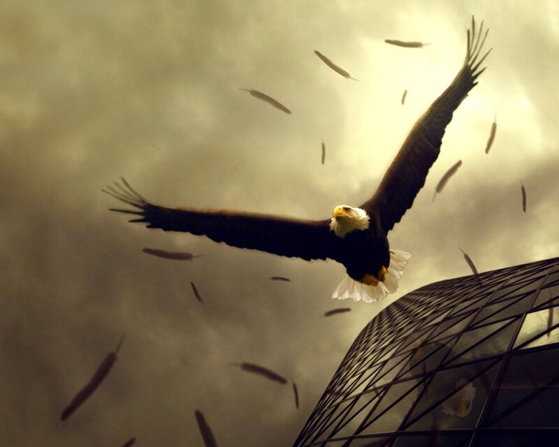 Bald Eagle in Flight — Brown, Dramatic, Digital Art, Feathers, Building, Sky, White