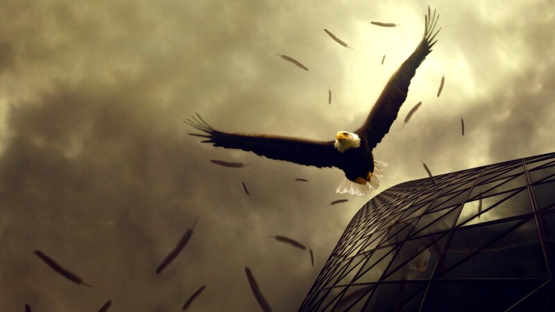 Bald Eagle in Flight — Brown, Dramatic, Digital Art, Feathers, Building