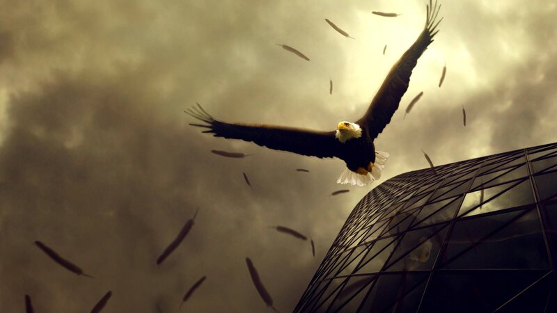 Bald Eagle in Flight — Brown, Dramatic, Digital Art, Feathers