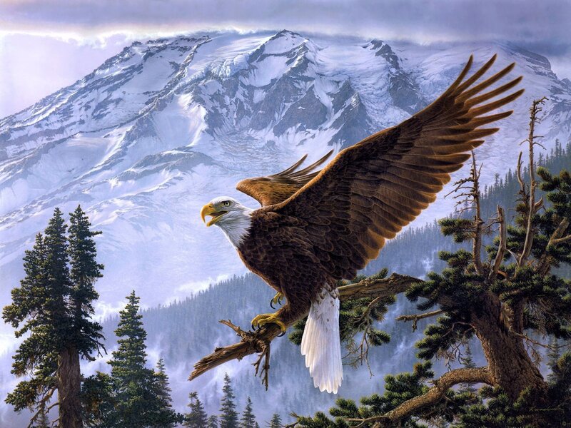 Bald Eagle in Flight — Brown, Dramatic, Digital Art, Mountain