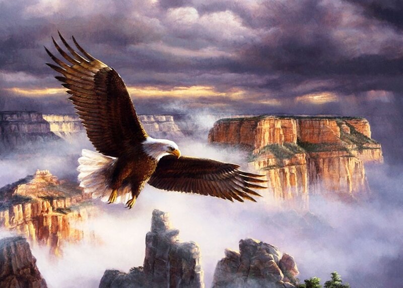 Bald Eagle in Flight — Brown, Dramatic, Sunrise, Painting