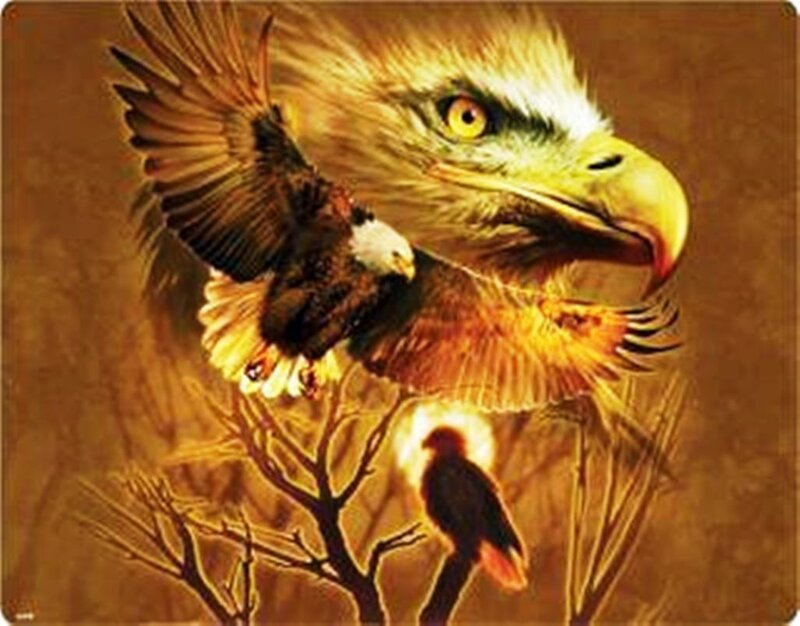 Bald Eagle in Flight — Brown, Dramatic, Sunset, Digital Art