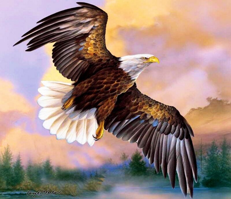 Bald Eagle in Flight — Brown, Dramatic, Sunset, Painting, Sky