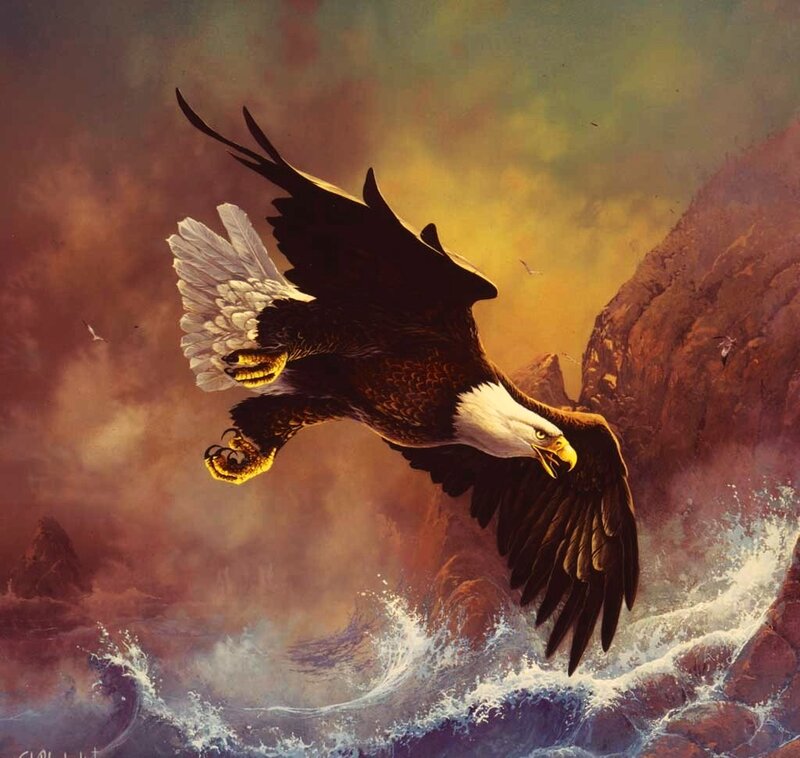Bald Eagle in Flight — Brown, Dramatic, Sunset, Painting