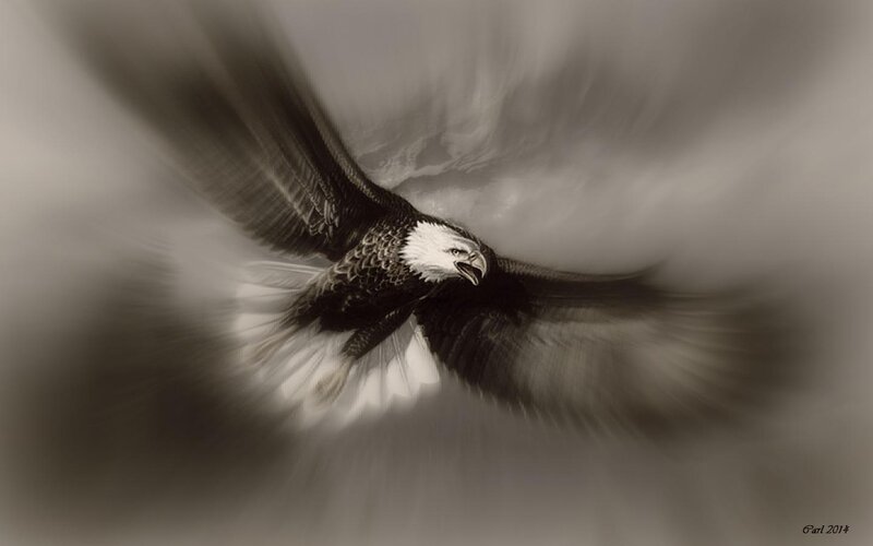 Bald Eagle in Flight — Gray, Dramatic, Digital Art, Sky