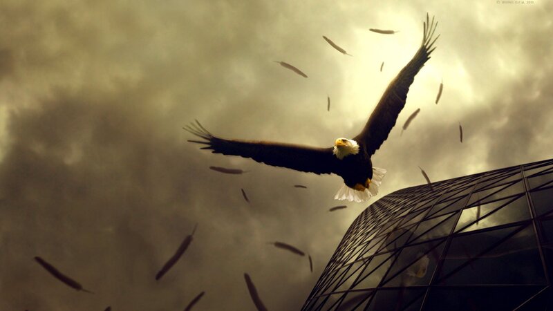 Bald Eagle in Flight — Gray, Dramatic, Digital Art