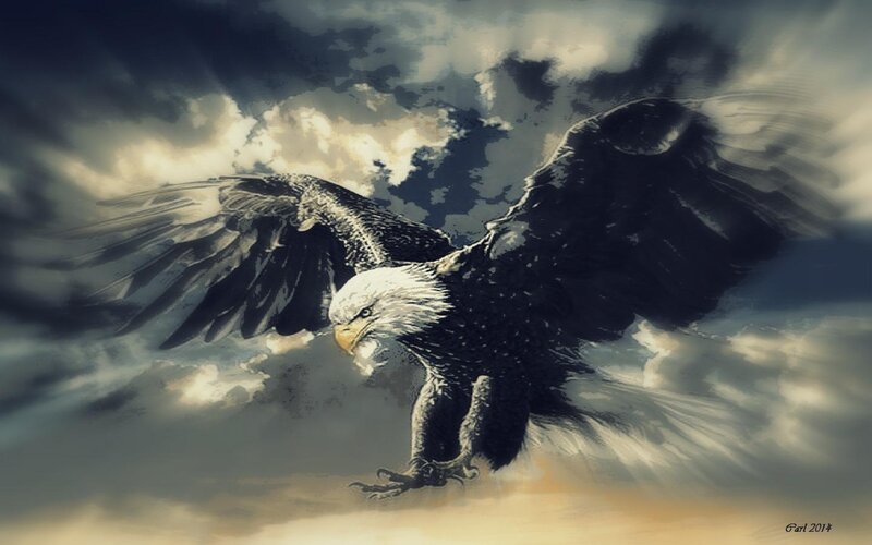Bald Eagle in Flight — Gray, Dramatic, Sunset, Digital Art