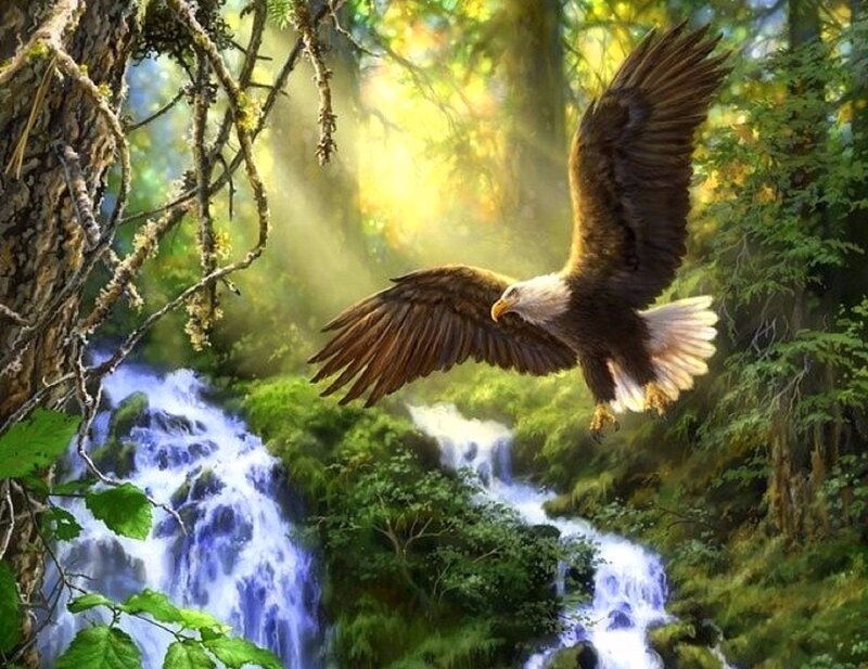 Bald Eagle in Flight — Green, Serene, Morning, Digital Art