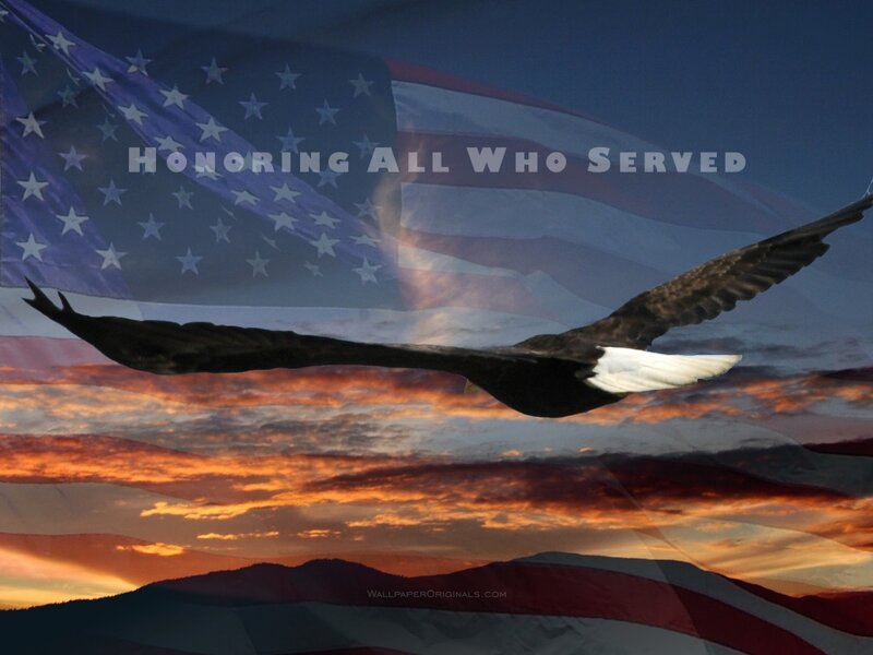 Bald Eagle in Flight — Orange, Patriotic