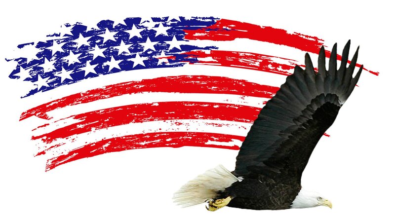 Bald Eagle in Flight — Red, Patriotic, Illustration