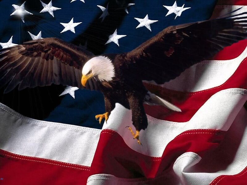 Bald Eagle in Flight — Red, Patriotic, Photograph, American Flag, Stars