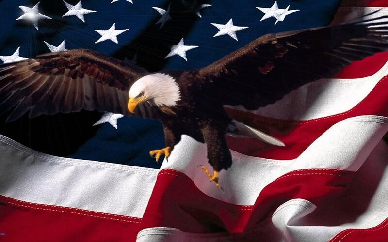 Bald Eagle in Flight — Red, Patriotic, Photograph