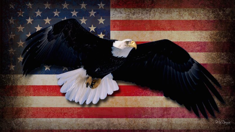 Bald Eagle in Flight — Red, Patriotic