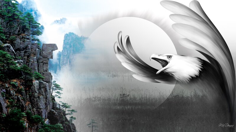 Bald Eagle in Flight — White, Dramatic, Digital Art, Mountain
