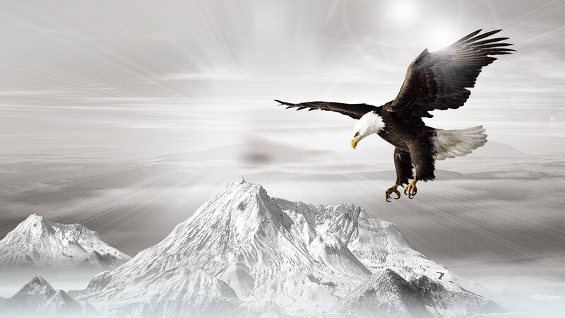 Bald Eagle in Flight — White, Dramatic, Digital Art, Mountains