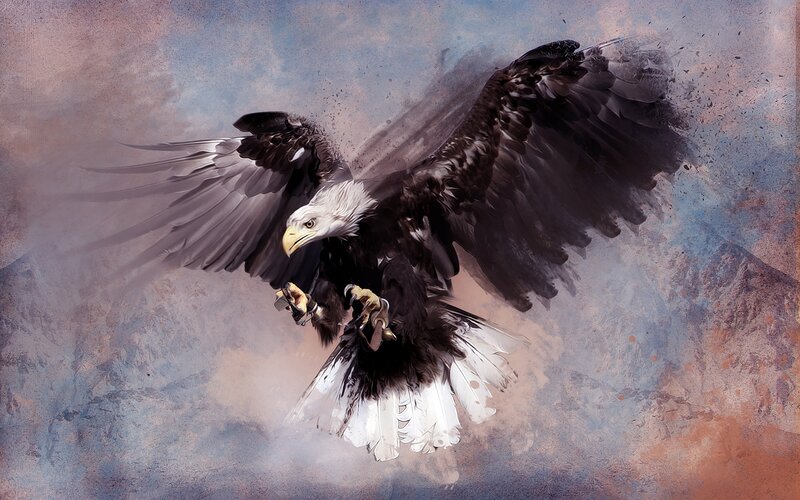 Bald Eagle in Flight — White, Dramatic, Digital Art