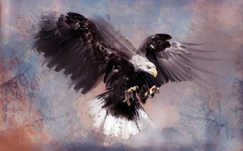 Bald Eagle in Flight — White, Dramatic, Digital Art, Wings, Claws