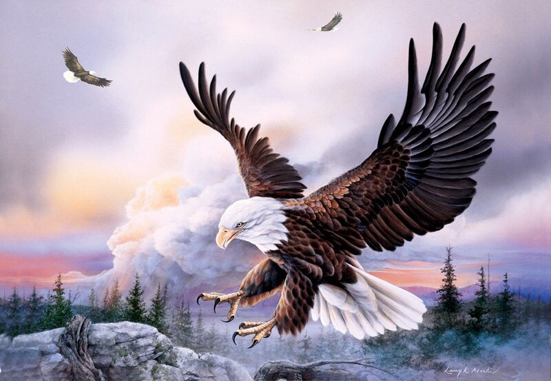 Bald Eagle in Flight — White, Dramatic, Sunrise, Painting