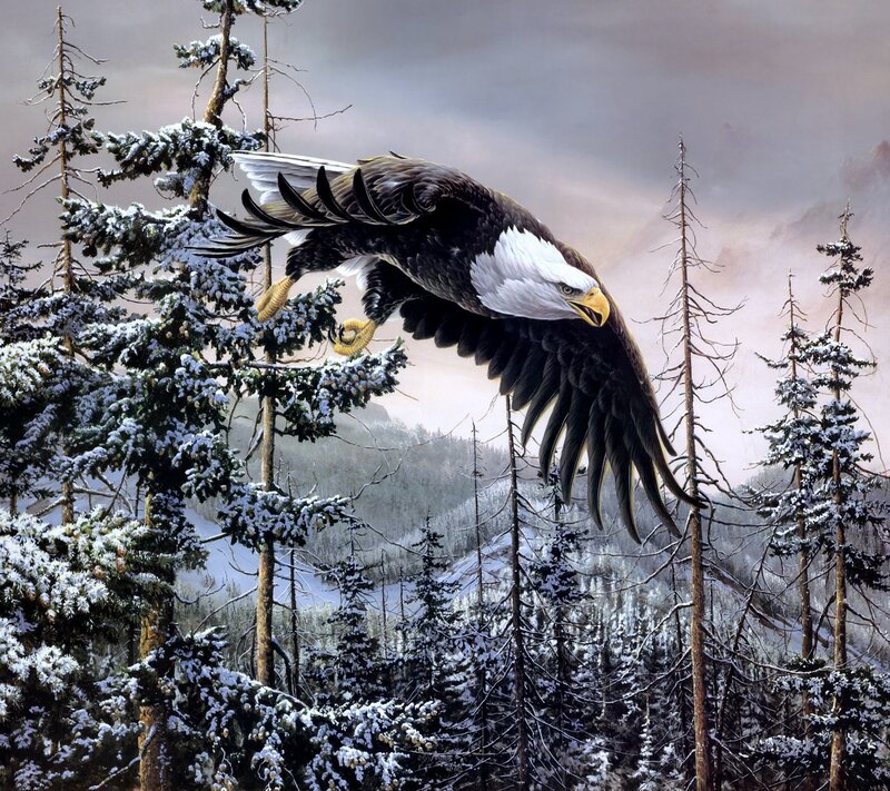 Bald Eagle in Flight — White, Dramatic, Winter, Painting, Snow-covered Trees