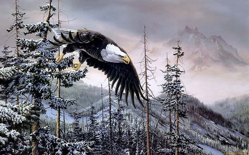 Bald Eagle in Flight — White, Dramatic, Winter, Painting