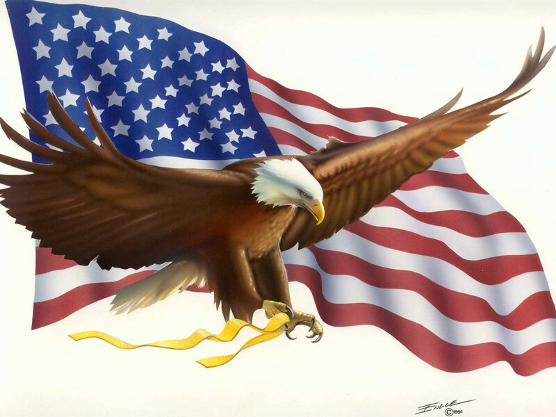 Bald Eagle in Flight — White, Patriotic