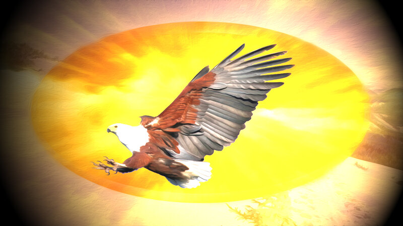 Bald Eagle in Flight — Yellow