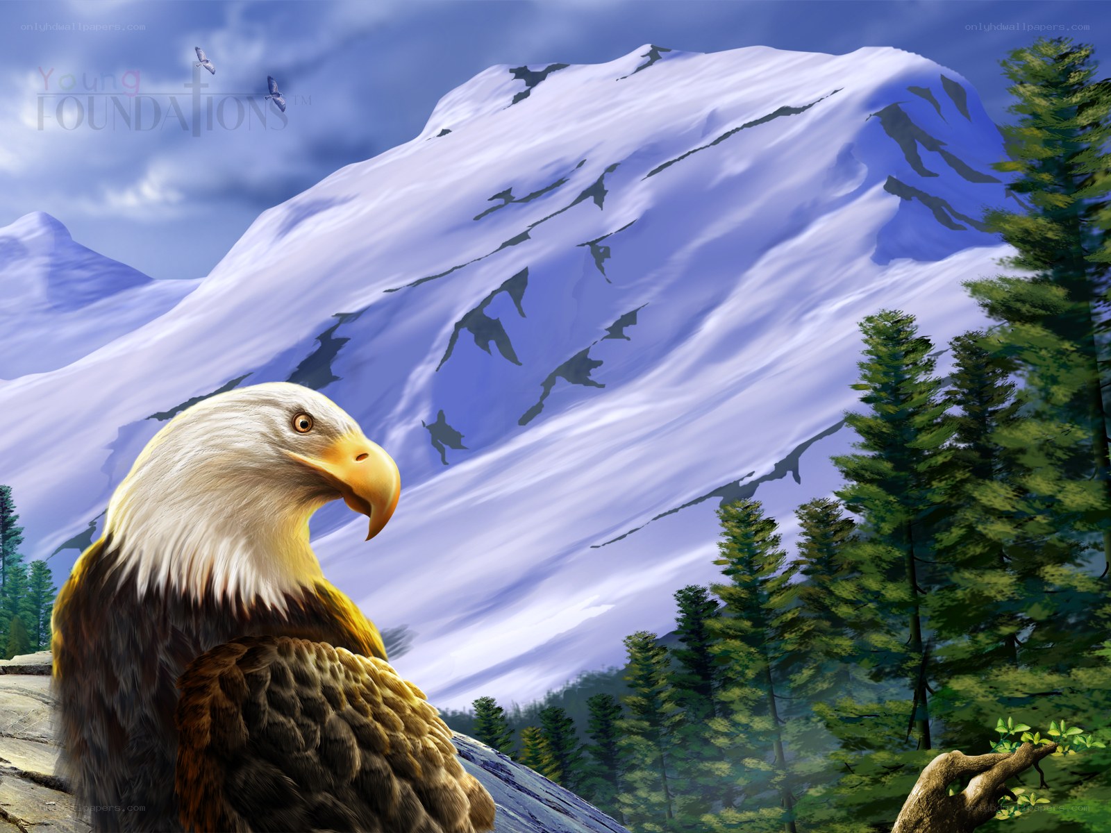 Bald eagle in mountain landscape