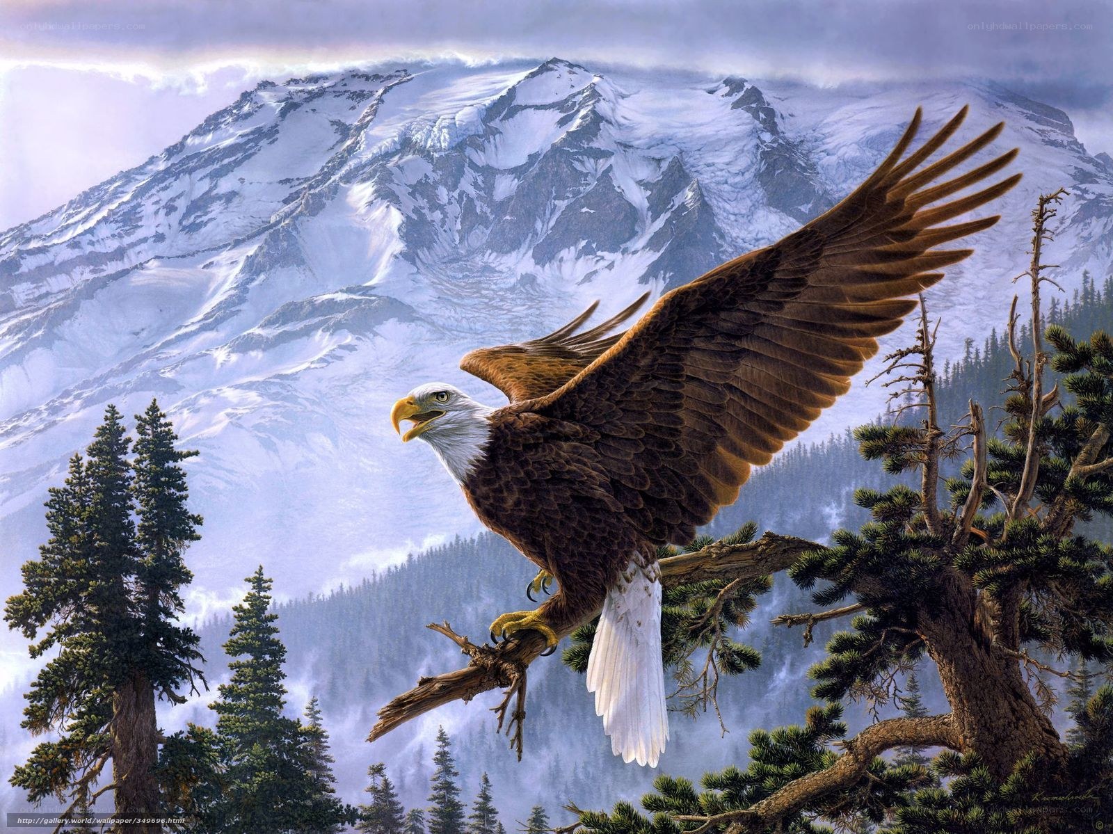 Bald eagle in mountain landscape