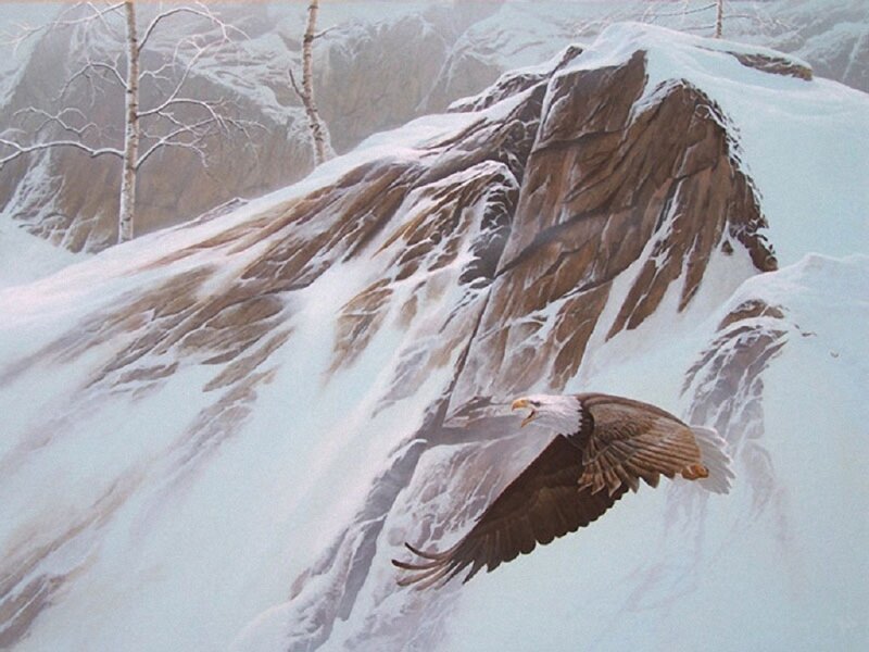 Bald eagle in snowy mountains