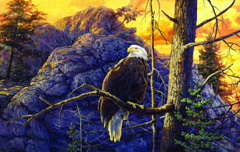 Bald Eagle on Branch — Blue, Dramatic, Sunset