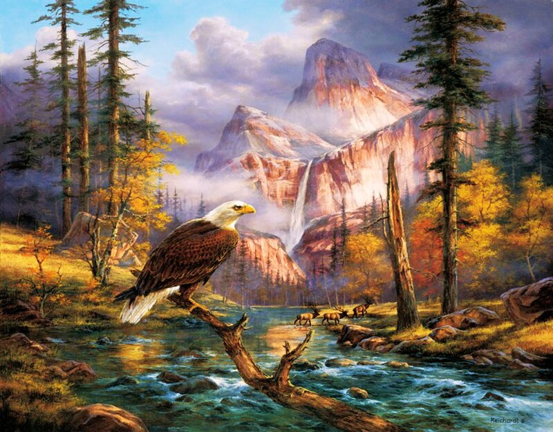 Bald Eagle on Branch — Blue, Serene, Autumn