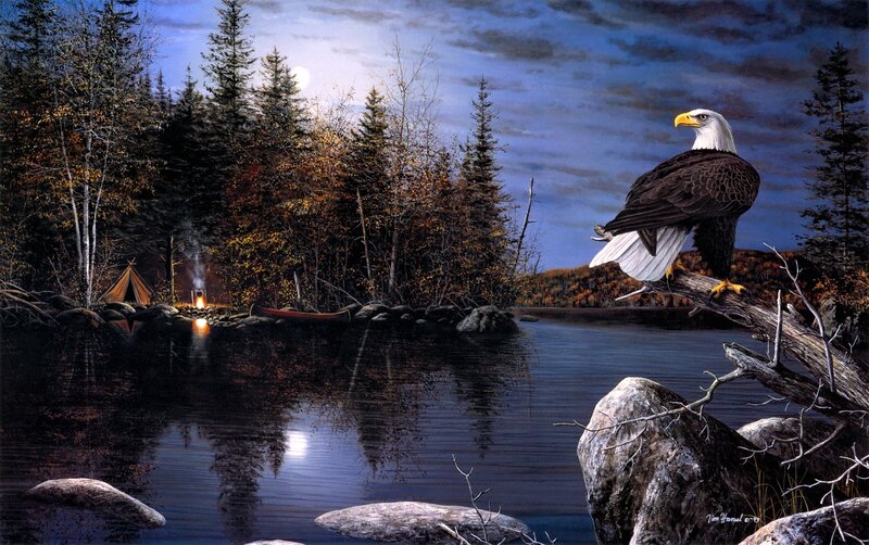 Bald Eagle on Branch — Blue, Serene, Night, Painting, Lake