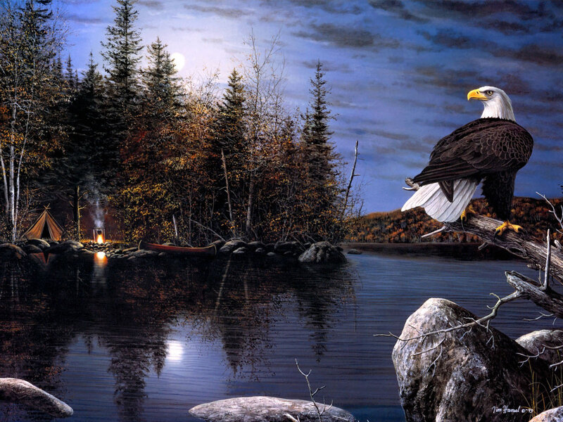 Bald Eagle on Branch — Blue, Serene, Night, Painting